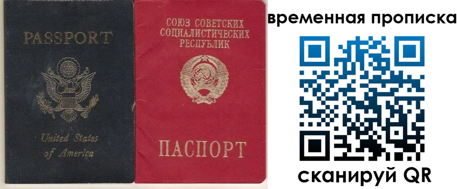 прописка для школы в Шарыпово